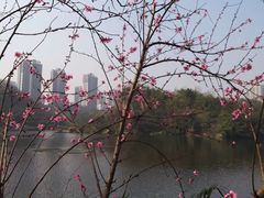 -重庆彩云湖湿地公园