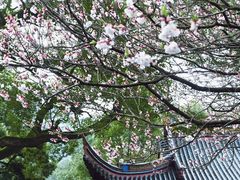 -阿育王寺