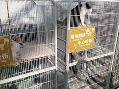 -南宫五洲植物乐园