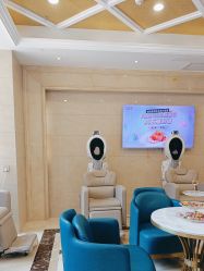 -碧莲盛·不剃发植发