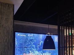 -野妹经典火锅(民治店)