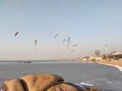 -老虎石海上公园