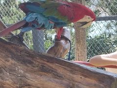 -西霞口神雕山野生动物世界