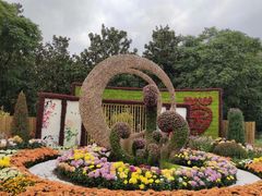 -上海共青森林公园