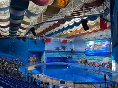 -多彩贵州城极地海洋世界