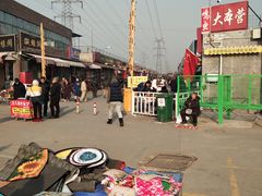 -中环花鸟鱼虫市场