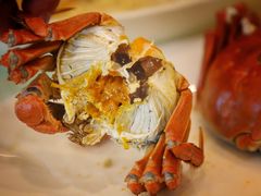 -扬州狮子楼·非遗淮扬菜(总店)