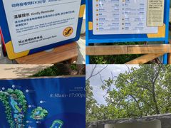 -静之湖度假区