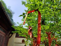 -幕燕滨江·长江观音景区