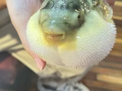 -永安鱼庄·镇江菜(丁卯店)