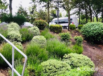 今天在牛津 附近的酒店 到景点 比斯特村都很方便