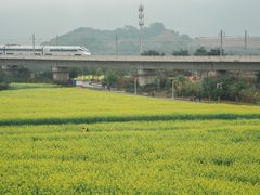 -光明小镇欢乐田园