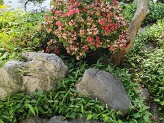 -上海醉白池公园