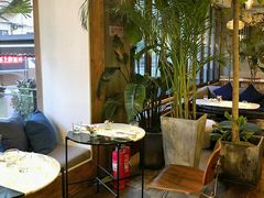 露天位-the rug 飞毯 (朝阳公园店)