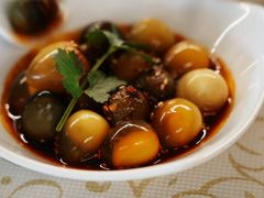 -百利鸽王(紫薇路店)