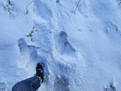 -太子岭滑雪场
