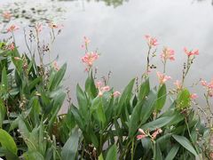 -广西大学(大学东路校区)