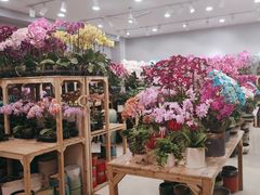 -双季花艺园艺市场(浦东店)