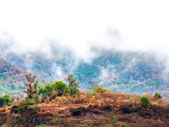 -缙云山景区