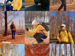 -黄海国家森林公园