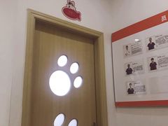-创凡宠物医院·骨专科  猫科中心(西乡分院)