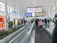 -广州白云国际机场-T2航站楼