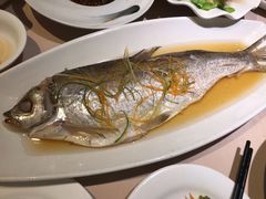 爆腌巢湖野生大白鱼-徽珍源(龙茗路店)