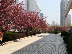-青岛市图书馆
