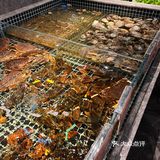 江阴本地 超性价比牛肉海鲜火锅爽吃