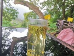 -阿巧茶庄