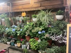 -龙姐私房菜(和顺古镇店)