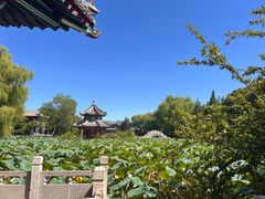 -永茂驴肉(莲池南大街总店)