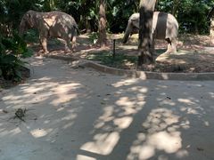 -深圳野生动物园