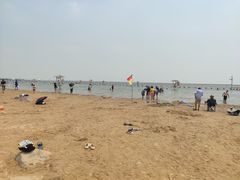 -碧海金沙