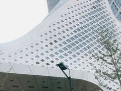 -南京国际青年文化中心