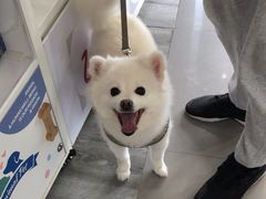 -爱侣宠医·鹦鹉专科·小型哺乳类·异宠专科(灵石路店)