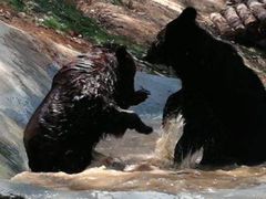 -泉州海丝野生动物世界