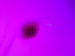 -沈阳海洋探索中心