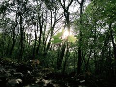 -紫金山山顶公园