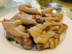 -丁老爷子苏香圆