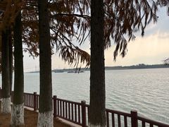 -太阳岛度假酒店