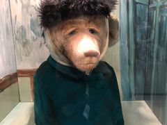 -济州岛泰迪熊博物馆