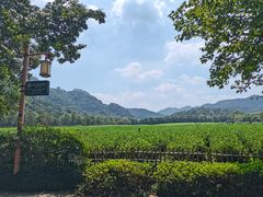 -野蔓果·山野菜(西湖景区·龙井茶田店)