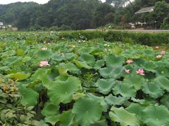 -周立波故居