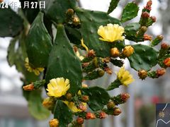 -国家植物园南园