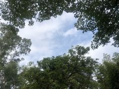 -福建鲤鱼洲酒店