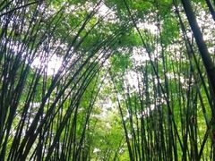 -四洞沟景区