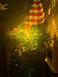 -疯狂冒险家-亲子密室-东坝店(金隅嘉品店)