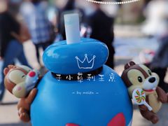 -上海迪士尼度假区