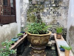 -月栖华明-云间草堂清茶馆(泗泾古镇店)